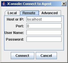 Connection dialog remote tab